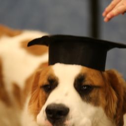 photograph by PeterW